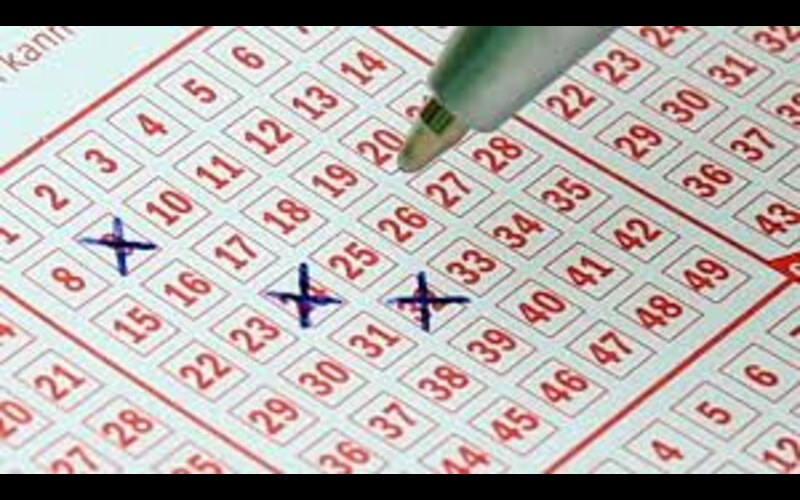 kerala lottery seat result body image